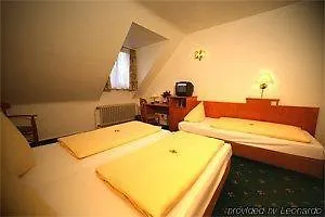 Ahl Meerkatzen Hotel Kolín nad Rýnem