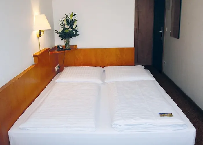 Hotel Ahl Meerkatzen Colonia