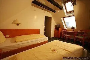 Ahl Meerkatzen 3* Colonia