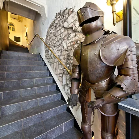 Ahl Meerkatzen 쾰른