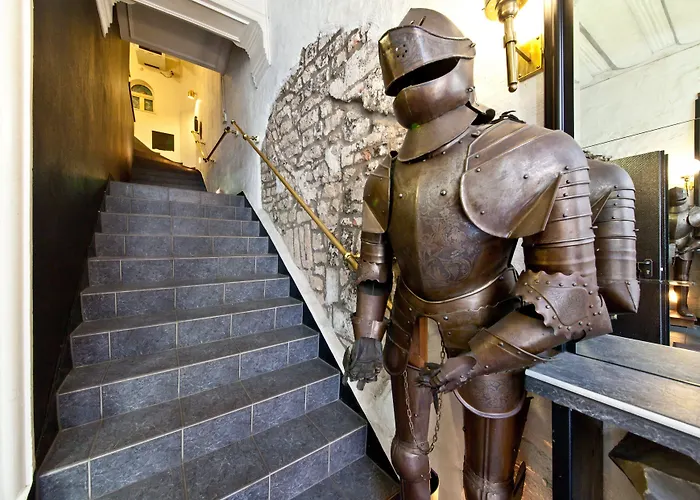 Ahl Meerkatzen 科隆