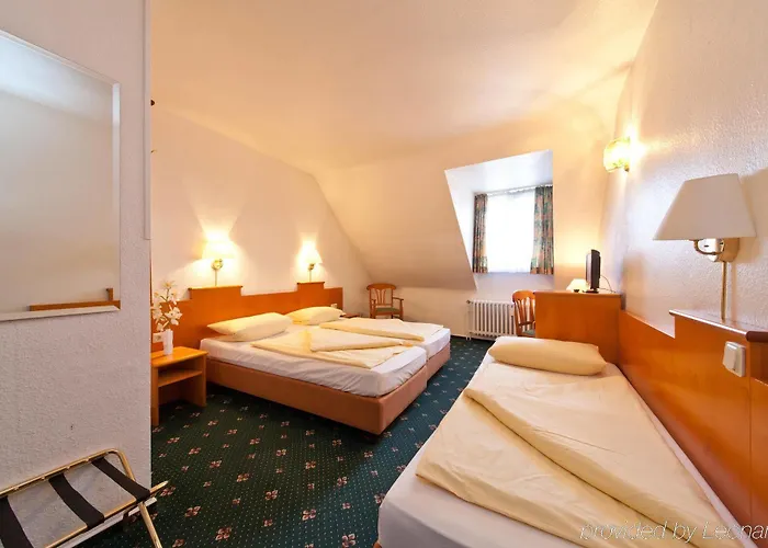 Ahl Meerkatzen Köln